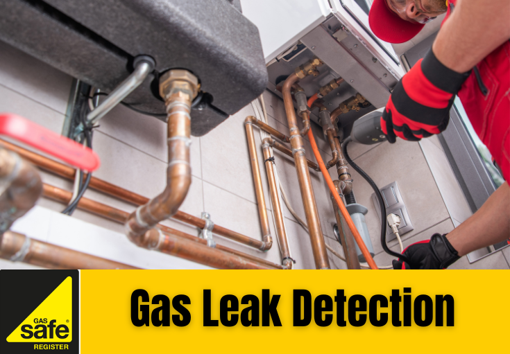 gas leak detection Dover